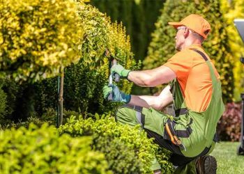 3 ways landscapers can build customer loyalty