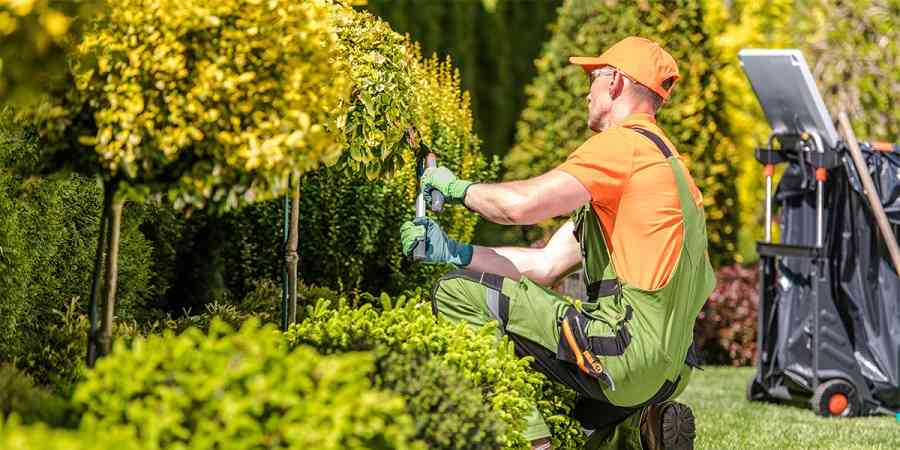 3 ways landscapers can build customer loyalty